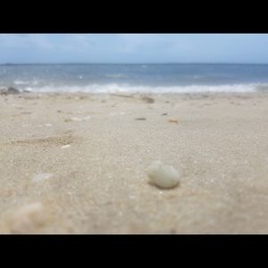 Meet your Posher, Araizy